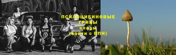 mdpv Гусиноозёрск